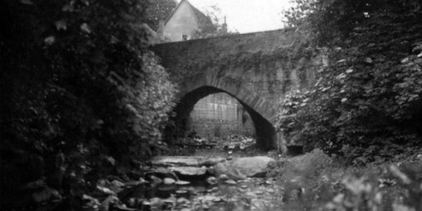 Vortrag zur Wasserrahmenrichtlinie in Petershagen