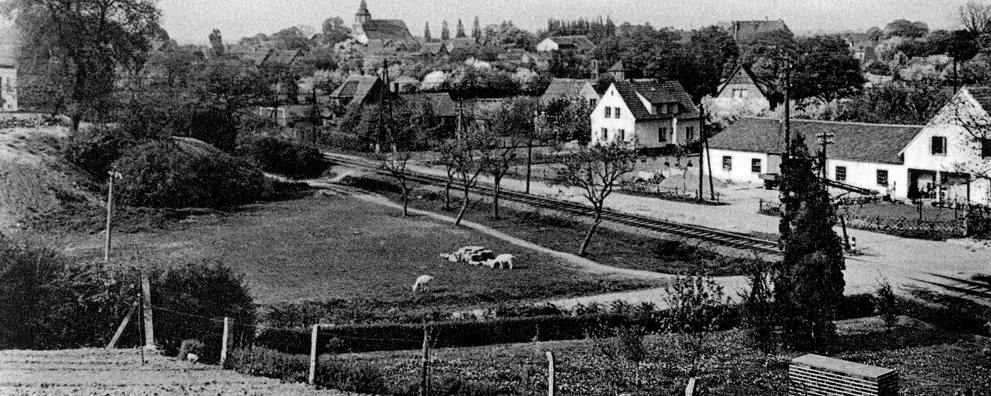 Judenfriedhof